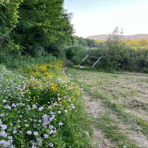 Meet your Posher, Isabel